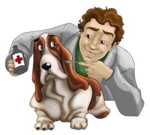 veterinär djurförsäkringar
